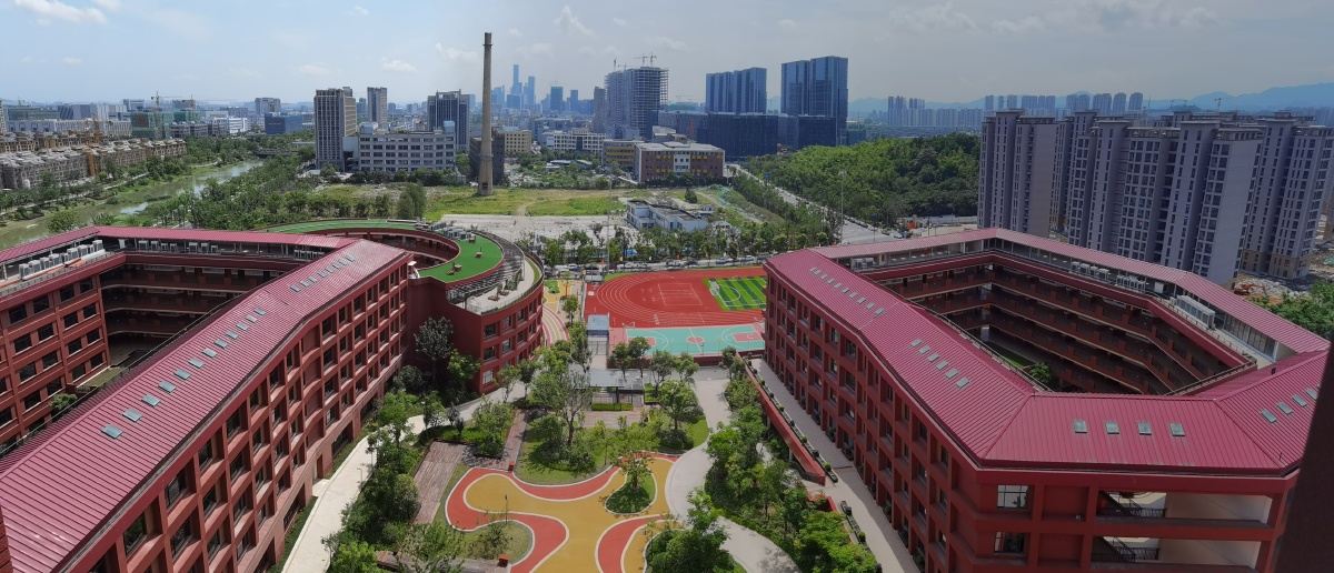 杭州天元公学展厅里铺满了杭州全书
