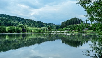 WHD_2595