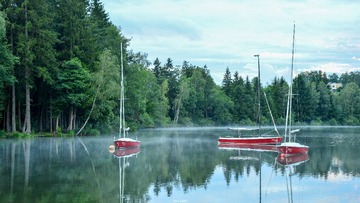 WHD_2611