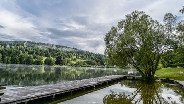 WHD_2778