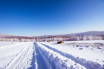 _DSC1135