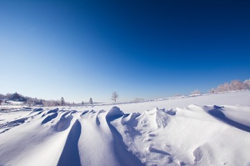 _DSC1143