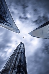 _DSC6457