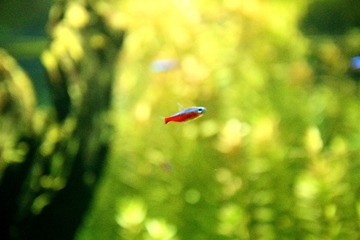 IMG_2105__