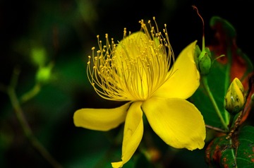 IMGP9924-1