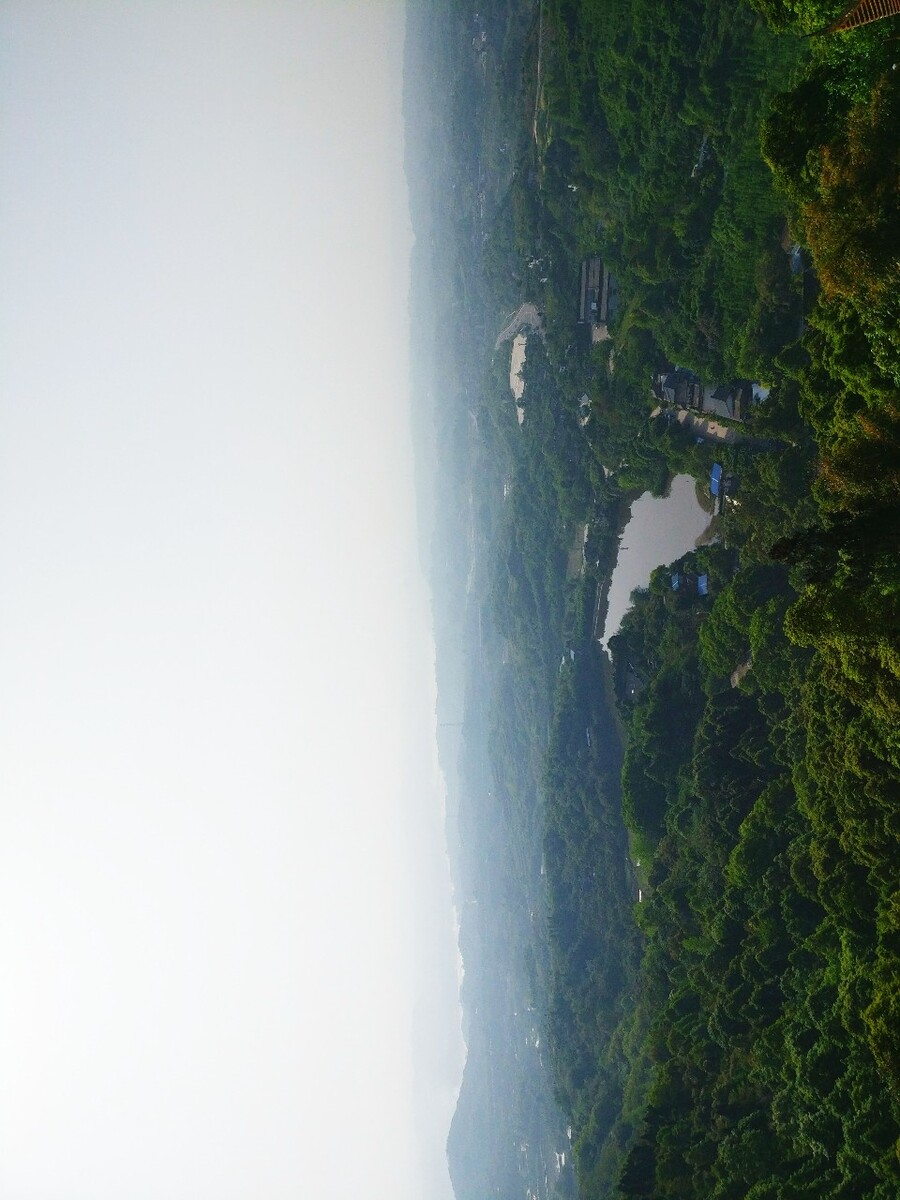 山下绿林