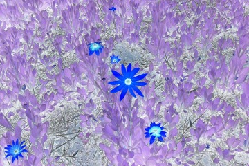 SAM_3548a