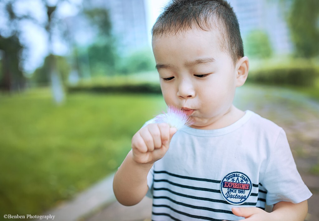 儿子，这个不是蒲公英，吹不动的