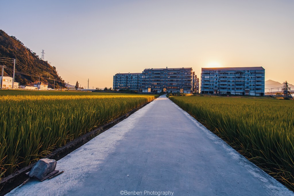 这是一块富饶的田地，即将丰收的田地