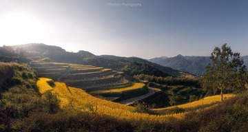 泽雅梯田