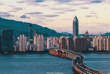 通往钢筋水泥的森林