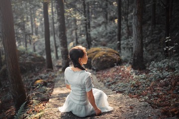 密林倩影