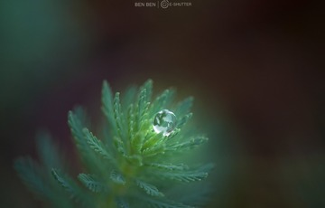 沧海遗珠