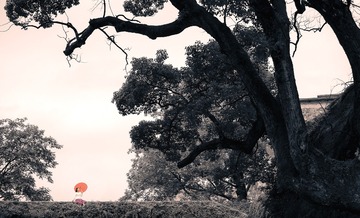 独坐