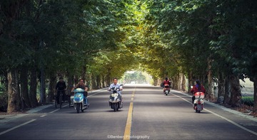 乡间小路