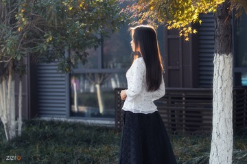 随风飘过