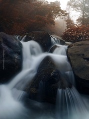 后花园