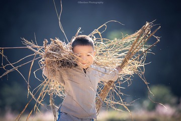我是稻草人