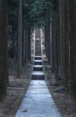 通幽小径