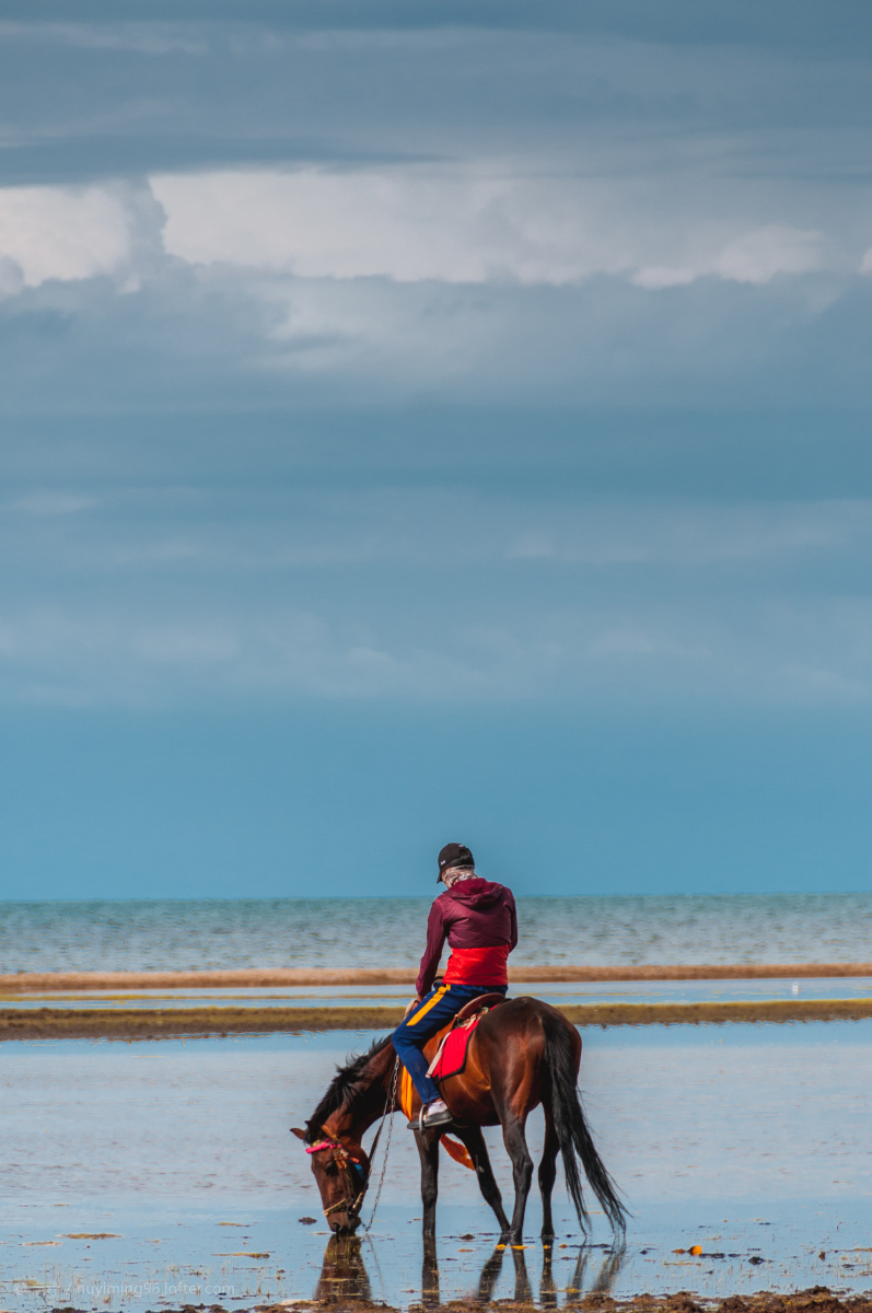 套马的汉子你威武雄壮~ - 色彩, 尼康, 旅行, 青海