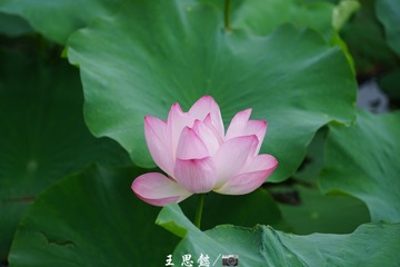 707C8B2E-426D-4D46-81B2-6482AB1EB050/L0/001