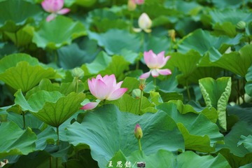 26CE6AEF-A267-46F2-85B0-F43C124C0A6F/L0/001