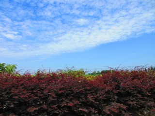 26120B90-795F-4399-A0D3-A6C1063723F4/L0/001