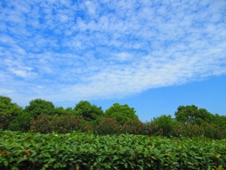 F43DA411-85F1-416F-A48A-D15FACB26DFA/L0/001