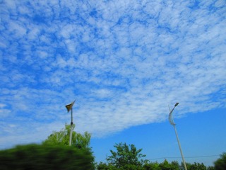 6F9EA131-0242-4140-A92E-83A7170A57A6/L0/001