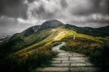 The way to the top