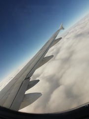 263270