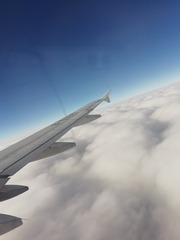 263267