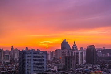 03310014-HDR-4