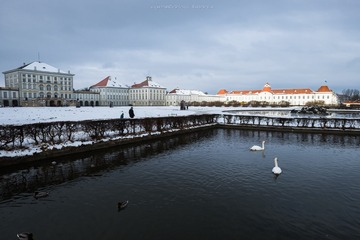 XT105362_