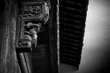 IMG_0010_