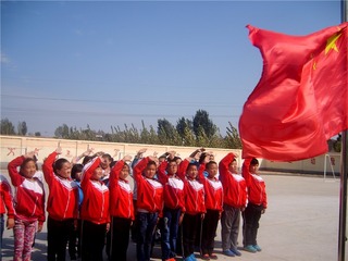 54331