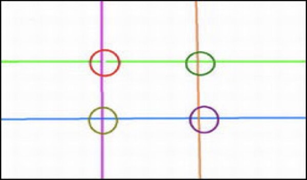 7715224.jpg