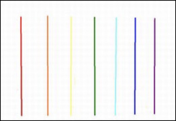 7715227.jpg