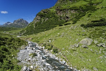 _DSC1248 a 