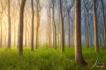 _DSC0797 b