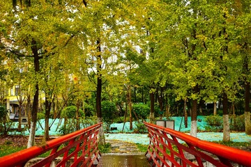 DSC_0911-1