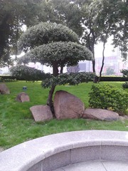 psb (10)