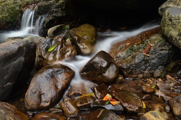 LGY_5307