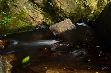 LGY_5325