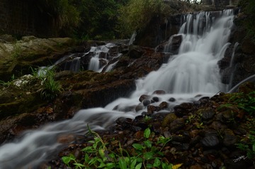 LGY_5337