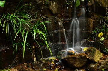LGY_5342