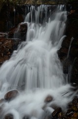 LGY_5348