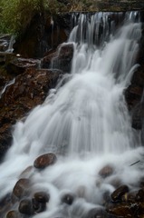 LGY_5350