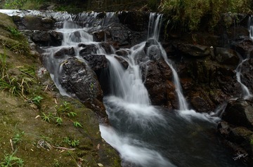 LGY_5352