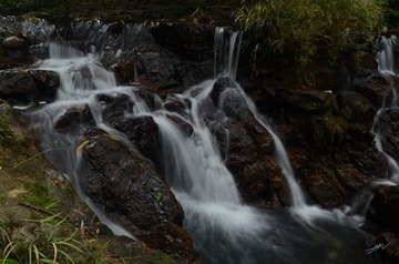 LGY_5353